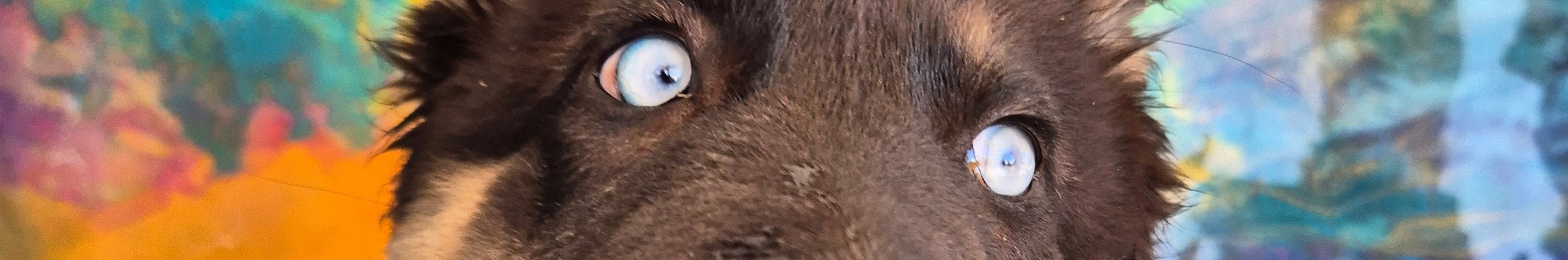 Nova's mesmerizing blue eyes close-up